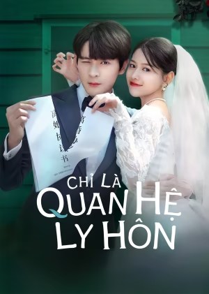 Chỉ Là Quan Hệ Ly Hôn - Crush on My Ex-Husband 2024 (2024)