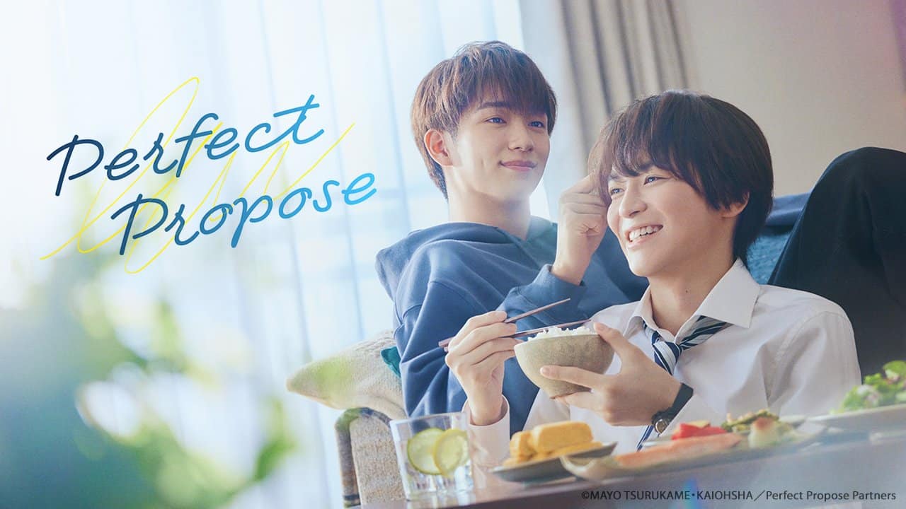 Phim Lời Cầu Hôn Hoàn Hảo - Perfect Propose (2024)