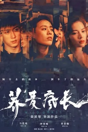 Phim Mùa Hoa Kiều Mạch - Wild Grass (2020)