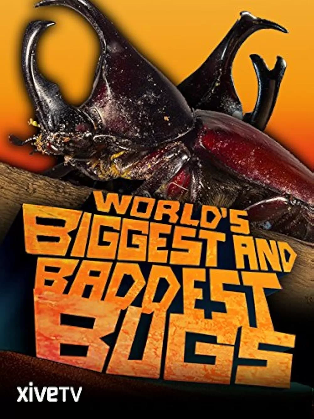 Thế Giới Côn Trùng Khổng Lồ và Nguy Hiểm | The World's Biggest and Baddest Bugs (2009)