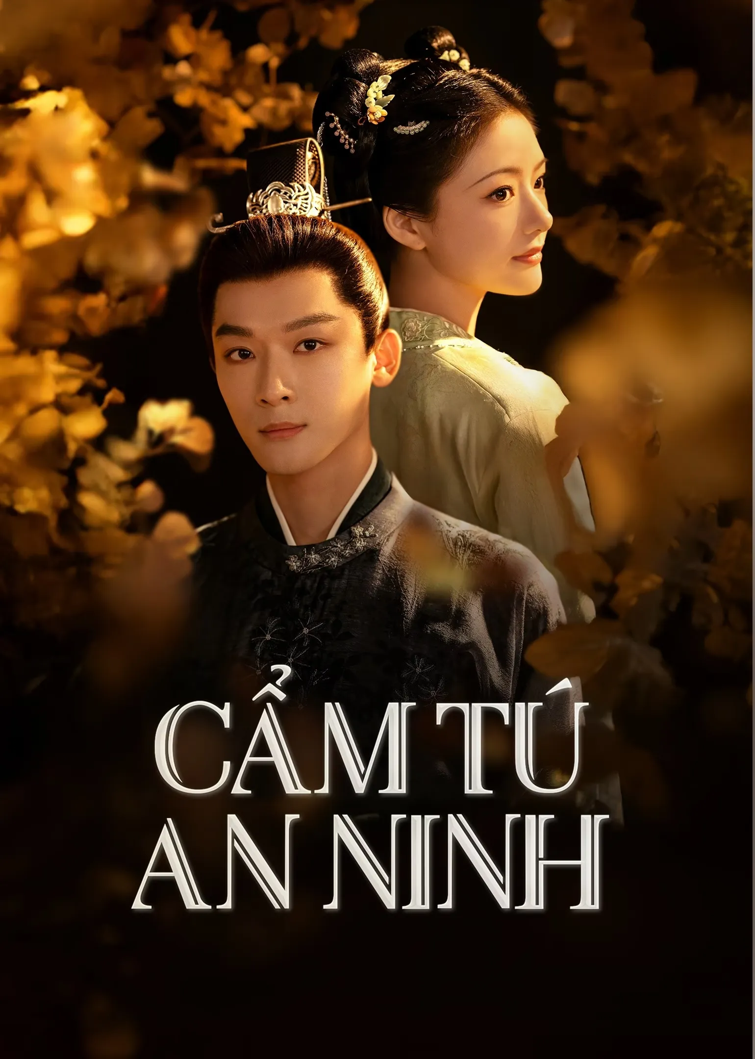 Cẩm Tú An Ninh | The Rise of Ning (2024)