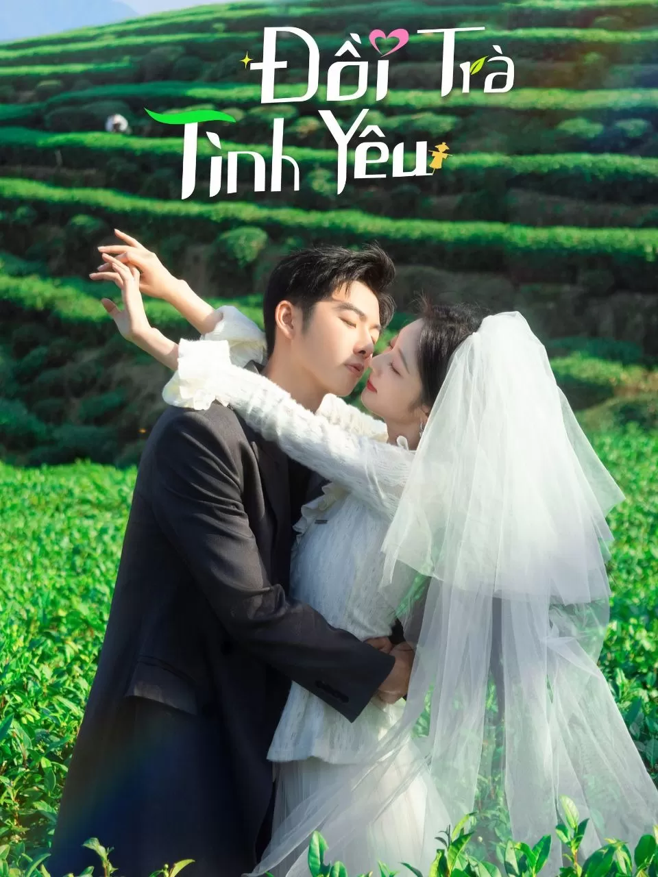 Đồi Trà Tình Yêu - Love in the Tea Garden (2024)