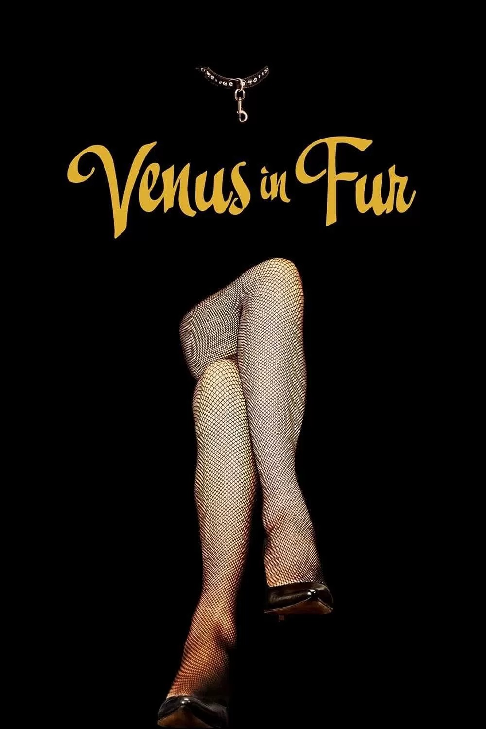 Vệ Nữ Áo Lông | Venus in Fur (La Vénus à la fourrure) (2013)