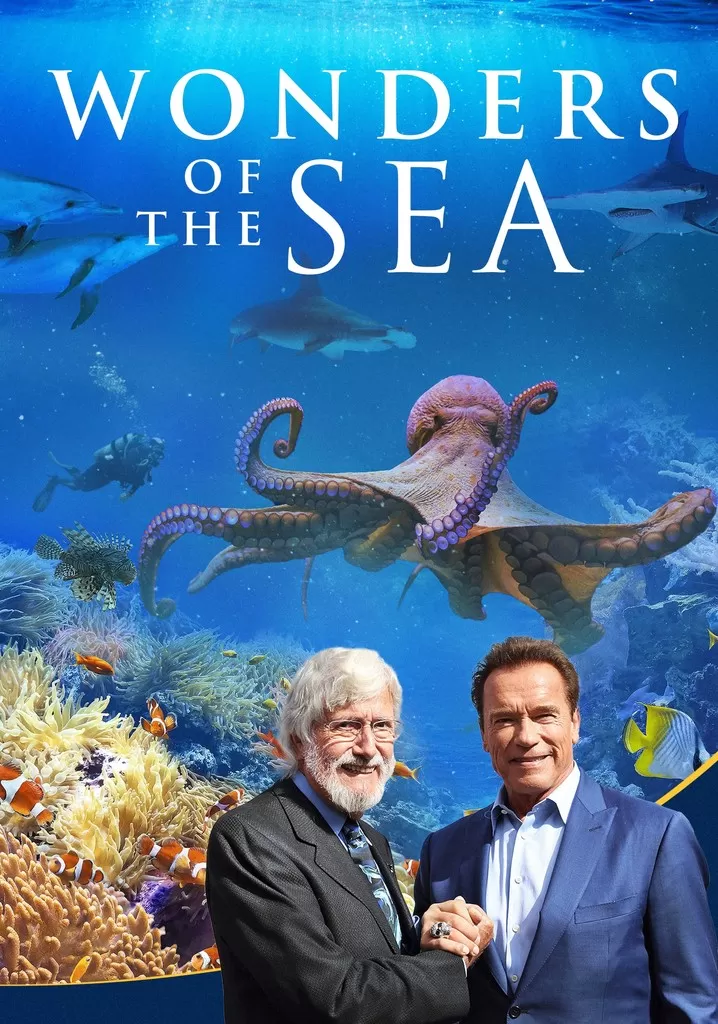 Kỳ Quan Của Đại Dương | Wonders of the Sea 3D (2017)
